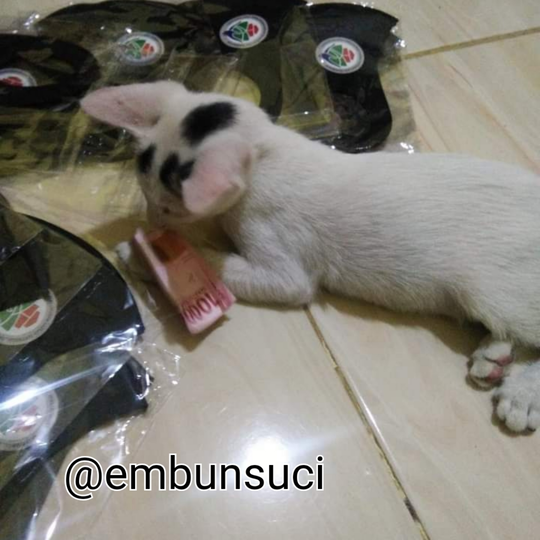 Hime Family Adalah Moodbooster Ketika Merasa Lelah, Sepi Dan Sendirian!