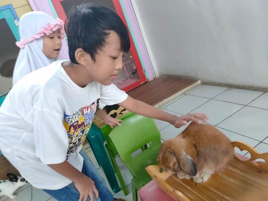 Coco dan Mimi Kelinciku yang manis Sekali