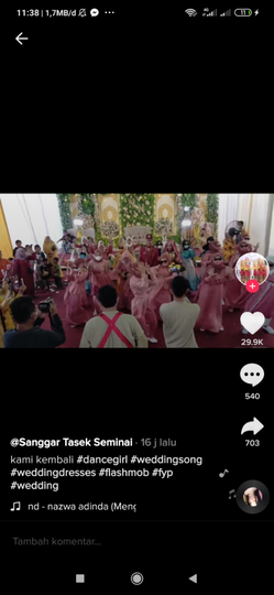 Joged Tiktok Di Pesta Pernikahan, Seru Juga!