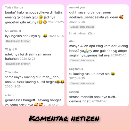 Lucu Dan Menggemaskan Melihat Kucing Ini Menjaga Bayi Yang Sedang Tertidur