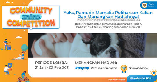 Memelihara Kucing, Menjadi Salah Satu Kegiatan Kami Saat Pandemi