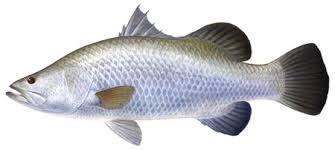 Nama-nama Ikan Ala Ibu-ibu Sosialita Fancy Jaksel