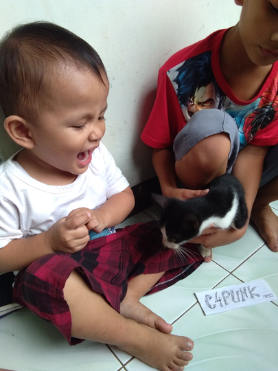 Si Komo Kucing Mungil Dirumah, Membuat Bahagia