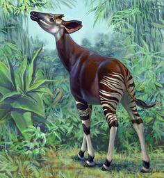 Hewan Mistis dari Afrika Hasil Persilangan Rusa dan Zebra, Mitos atau Fakta ?