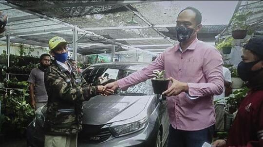 8 Pot Tanaman Hias Ditukar dengan Sebuah Mobil, Inilah Penampakannya!