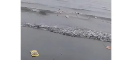 Tidak Patut Dicontoh, Viral Seorang Emak dengan Sengaja Membuang Sampah di Laut!