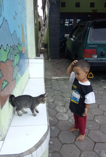Ajak Bermain Pusy Ya 🐱
