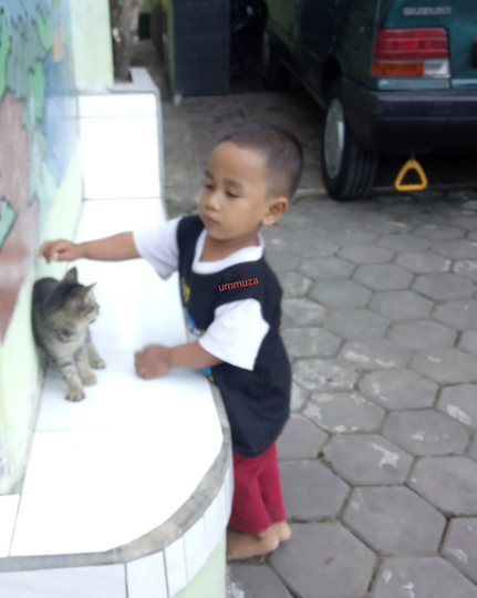 Ajak Bermain Pusy Ya 🐱