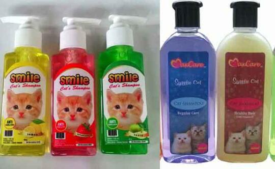 Ajak Bermain Pusy Ya 🐱