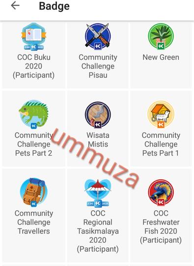Jatuh Bangun Demi Badge 😭