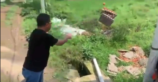 Harga Murah, Peternak di Magetan Pilih Buang Telur ke Sawah