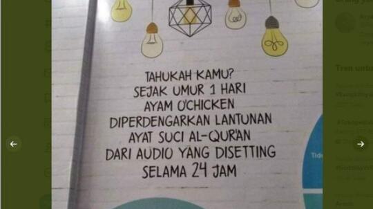 Viral Ayam Muslim, Sejak Menetas Didengarkan Lantunan Al Quran, Apa Rasanya