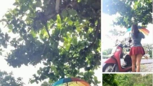 Viral Penjual Kopi Pakai Rok Mini di Serangan Bali, Netizen Penasaran