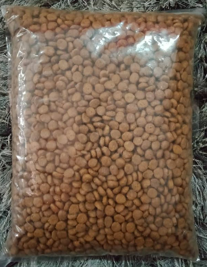 Kasih Makan Kucing Jangan Sembarangan, Ini Pemilihan Makanannya