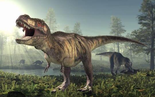 4 Fakta Unik Tentang Dinosaurus, Kamu Pasti Banyak Yang Belum Tahu Nih!!