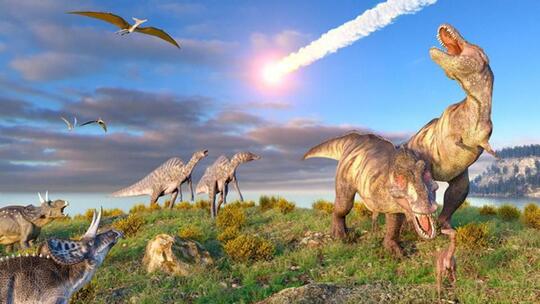 4 Fakta Unik Tentang Dinosaurus, Kamu Pasti Banyak Yang Belum Tahu Nih!!