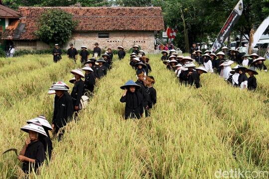 Budaya Liliuran: Kearifan Lokal Masyarakat Sunda Yang Makin Tergerus Zaman