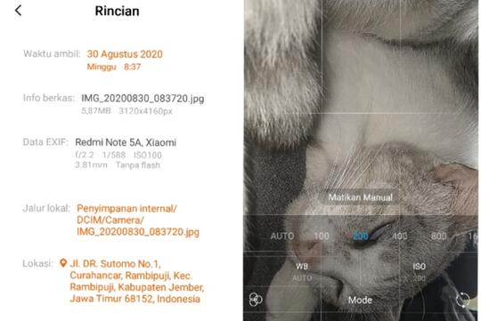 Panduan mengambil foto dan upload shutterstock dengan smartphone, "Approved"