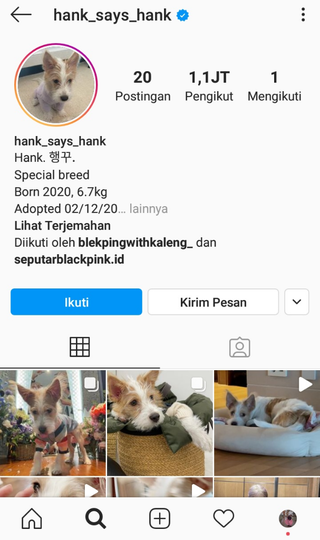 Yuk Kenalan Lebih Dekat dengan Rosé BLACKPINK