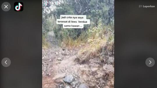 Viral Kisah Pendaki Tersesat di Lawu Selamat Usai 'Dituntun' Burung Jalak