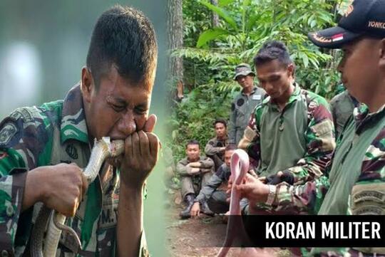 Latihan TNI Makan Tokek Dan Ular Di Kritisi, Prabowo Pun Kena Imbasnya