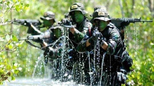 Latihan TNI Makan Tokek Dan Ular Di Kritisi, Prabowo Pun Kena Imbasnya