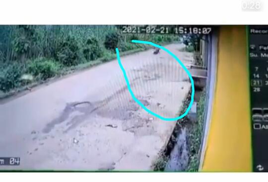 Ngakak Tapi Kasihan! Detik-detik Atraksi Cewek Bonceng Tiga Terjun Ke Selokan
