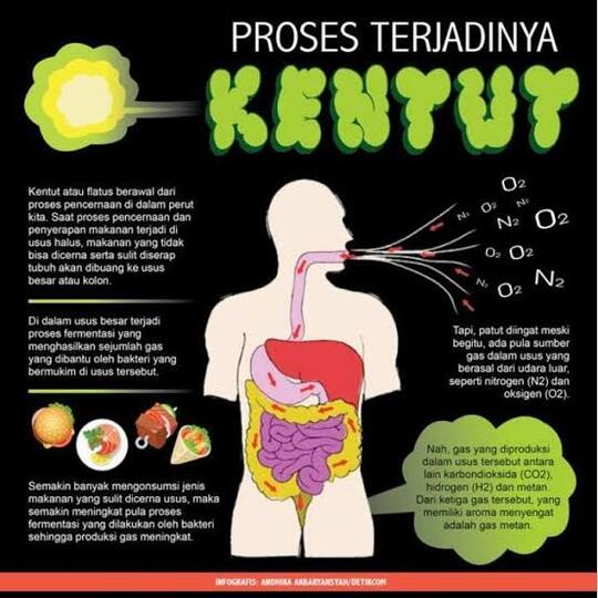 Kenapa Kentut Kita Bau? Dan Orang Malah Ketawa Kalau Ada Yang Kentut