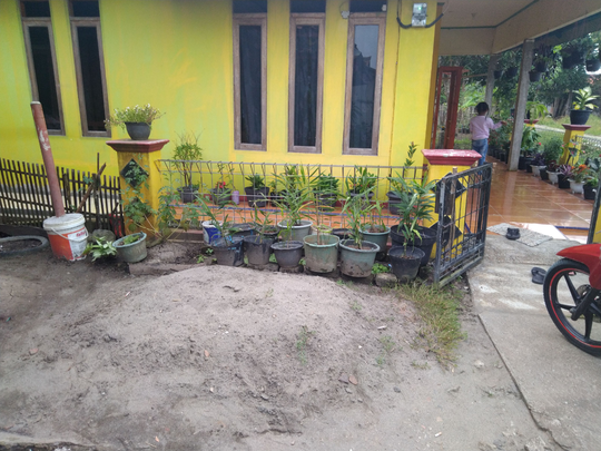 Ragam Manfaat Program Pemberdayaan Kesejahteraan Keluarga (PKK)