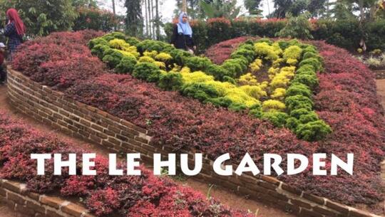 Asyiknya Berbulan Madu di The Le Hu Garden Medan
