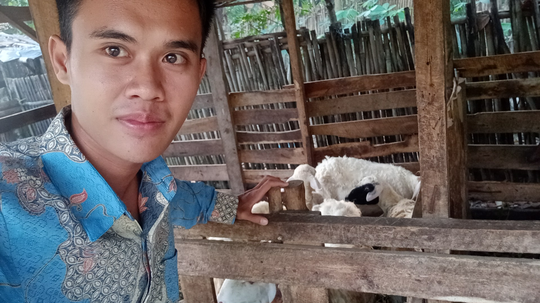Cara Menjadi Peternak Kambing Tanpa Harus Cari Rumput dan Bau Prengus! Emang Bisa?