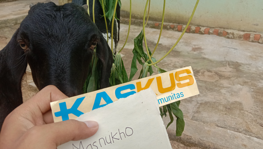 Cara Menjadi Peternak Kambing Tanpa Harus Cari Rumput dan Bau Prengus! Emang Bisa?