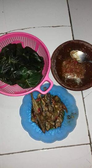 Ternyata Daun Mangkokan Bisa Dibuat Menjadi Deretan Kuliner Yang Lezat, Loh!