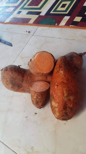 Kolak Ubi Cilembu, Nostalgia Kuliner Khas Bulan Ramadhan