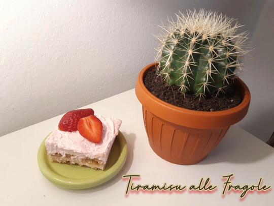 Strawberry Tiramisu (Tiramisu rasa stroberi)