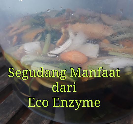 Memanfaatkan Sampah Menjadi Segudang Keajaiban dengan Membuat Eco Enzyme!
