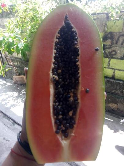 Nikmati Kumpul-Kumpul Istirahat Siang Dengan Menikmati Rujak Petis Khas Sunda, Yuk!