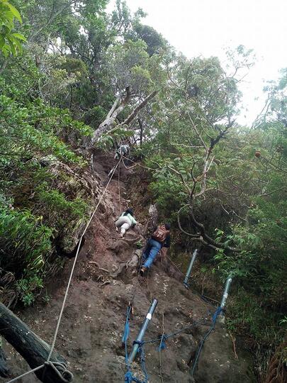 Misteri tanjakan setan gunung gede pangrango