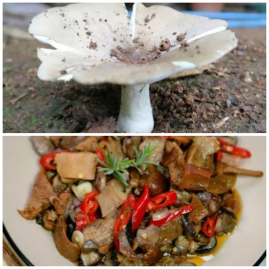 Berbagai Bahan Makanan Ala Desa Yang Ada Saat Musim Penghujan, Nomor 7 Ekstrem!