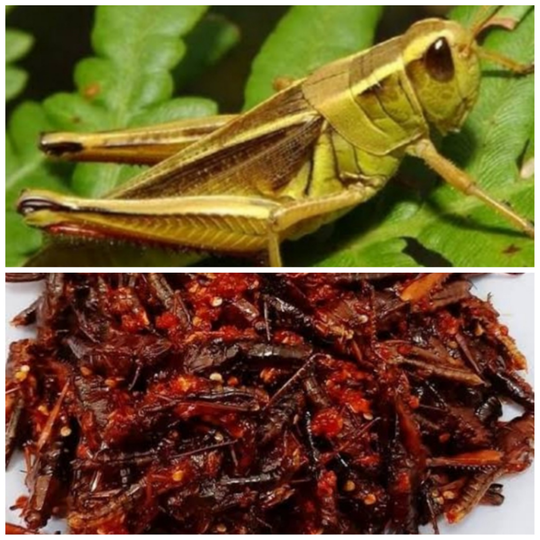 Berbagai Bahan Makanan Ala Desa Yang Ada Saat Musim Penghujan, Nomor 7 Ekstrem!