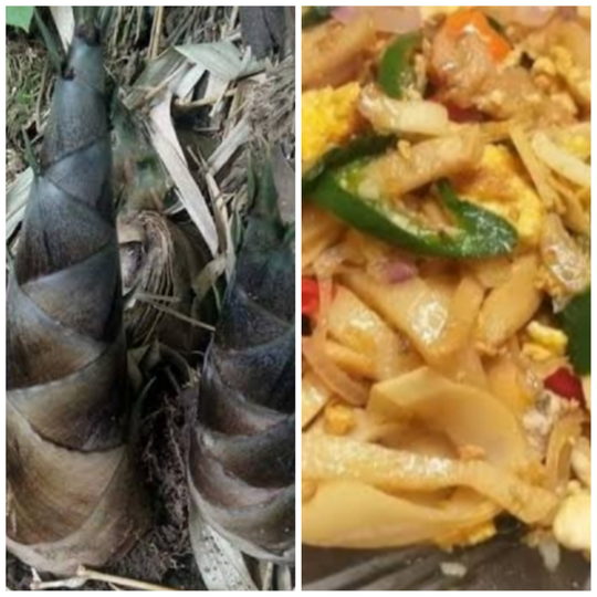 Berbagai Bahan Makanan Ala Desa Yang Ada Saat Musim Penghujan, Nomor 7 Ekstrem!