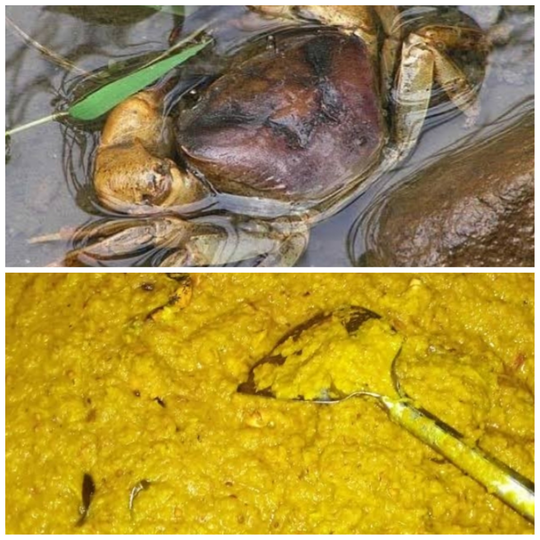 Berbagai Bahan Makanan Ala Desa Yang Ada Saat Musim Penghujan, Nomor 7 Ekstrem!