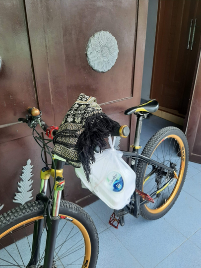 Sehat Dan Positif Pastinya Bersepeda, Salam Dua Pedal Tetap Pilihan Sepeda Lokal!