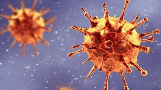 Dua Kasus Mutasi Virus Corona B117 Masuk ke Indonesia dari Arab Saudi