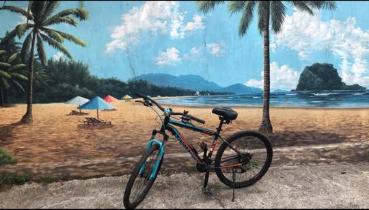 MTB for My Real Life! Pecinta Sepeda Gunung Wajib Tahu Hal-Hal Berikut!