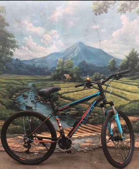 MTB for My Real Life! Pecinta Sepeda Gunung Wajib Tahu Hal-Hal Berikut!