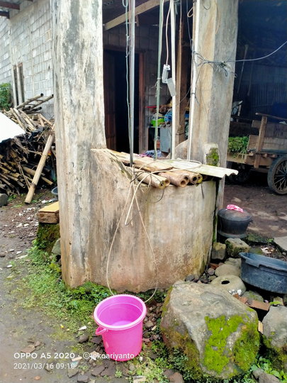 Tips Merawat Ikan Cupang yang Baik dan Benar