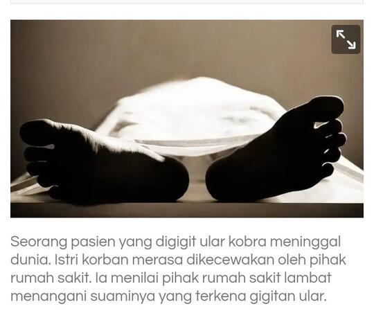 Diminta Tes Swab sebelum Dirawat, Pasien yang Digigit Ular Kobra Meninggal Dunia