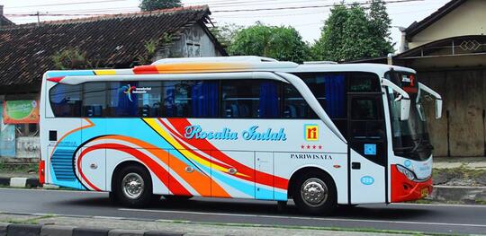 Mengenal Rosalia Indah, Bunga Rosalia Merah Dari Jawa Tengah