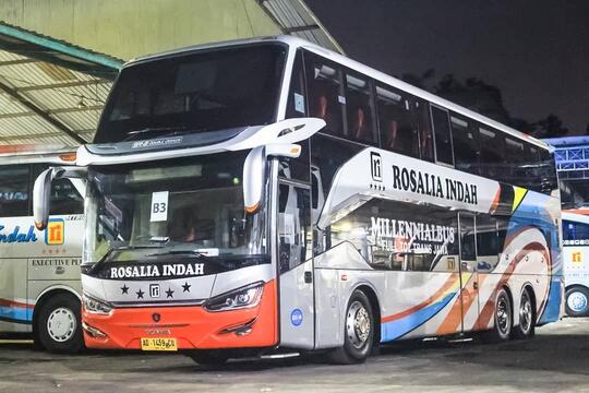 Mengenal Rosalia Indah, Bunga Rosalia Merah Dari Jawa Tengah